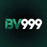 bv999